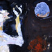 Moon Dancer