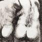 Horst Hille - Toothing
